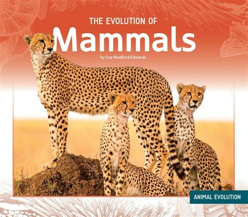 The Evolution of Mammals (Library Binding)