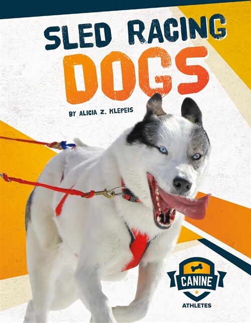 Sled Racing Dogs (Library Binding)