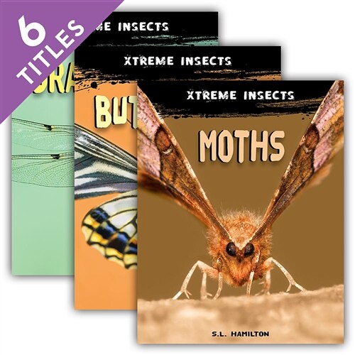 Xtreme Insects Set 2 (Set) (Library Binding)