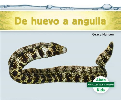 de Huevo a Anguila (Becoming an Eel) (Library Binding)
