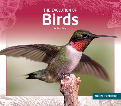 The Evolution of Birds (Library Binding)