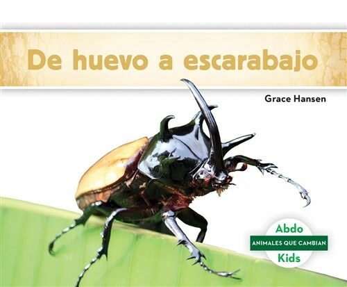 de Huevo a Escarabajo (Becoming a Beetle) (Library Binding)