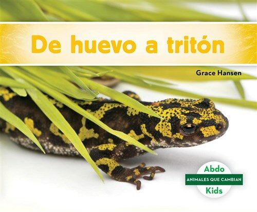 de Huevo a Trit? (Becoming a Newt) (Library Binding)