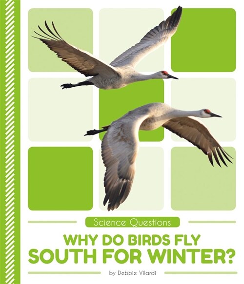 Why Do Birds Fly South for Winter? (Library Binding)