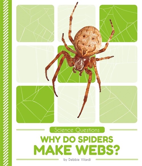 Why Do Spiders Make Webs? (Library Binding)