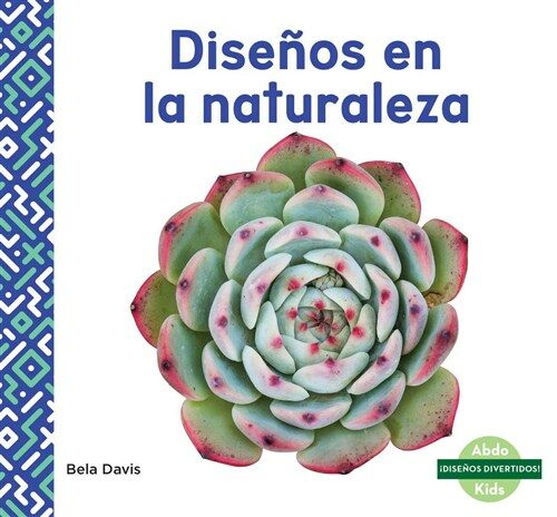 Dise?s En La Naturaleza (Patterns in Nature) (Library Binding)