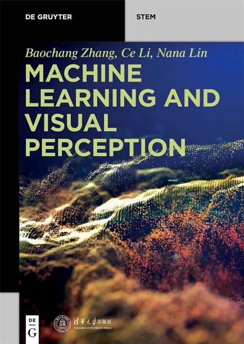 Machine Learning and Visual Perception (Paperback)