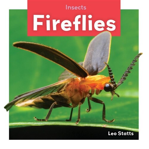 Fireflies (Library Binding)