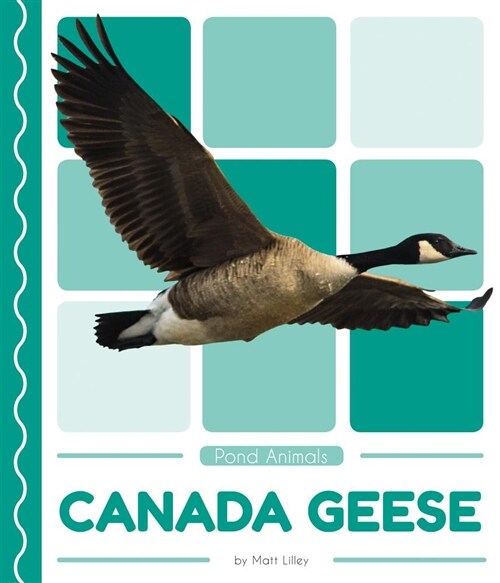 Canada Geese (Library Binding)