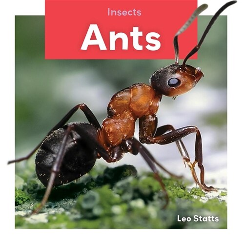 Ants (Library Binding)