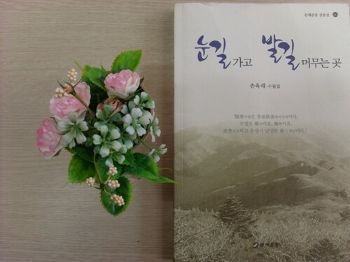 눈길 가고 발길 머무는 곳 : 靑松 손육래 수필집 표지이미지