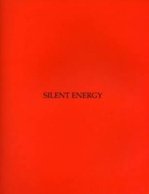 Silent Energy : New Art from China (Paperback)