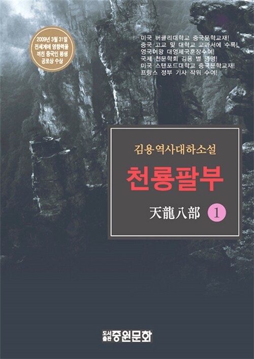 천룡팔부 1