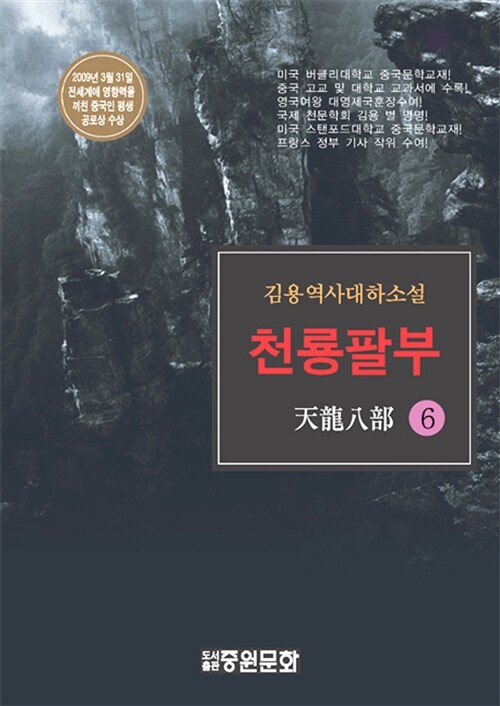 천룡팔부 6