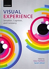 Visual Experience : Sensation, Cognition, and Constancy (Hardcover)