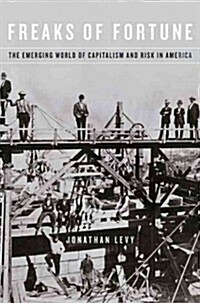 Freaks of Fortune: The Emerging World of Capitalism and Risk in America (Hardcover)