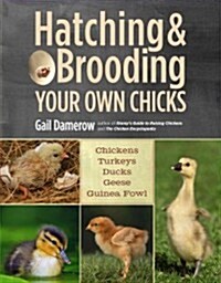 Hatching & Brooding Your Own Chicks: Chickens, Turkeys, Ducks, Geese, Guinea Fowl (Paperback)