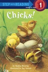 Chicks! (Library Binding)