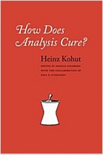 [중고] How Does Analysis Cure? (Paperback, First Edition)