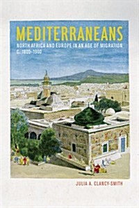 Mediterraneans: North Africa and Europe in an Age of Migration, C. 1800-1900 Volume 15 (Paperback)