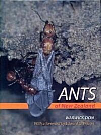 Ants of New Zealand (Hardcover)