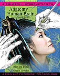 [중고] A Colorful Introduction to the Anatomy of the Human Brain: A Brain and Psychology Coloring Book (Paperback, 2)