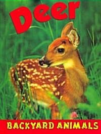 Deer (Library Binding)