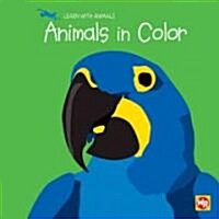 Animals in Color (Library Binding)