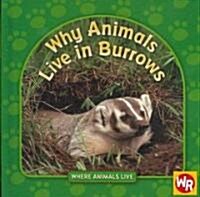 Why Animals Live in Burrows (Library Binding)