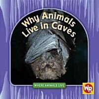 Why Animals Live in Caves (Library Binding)