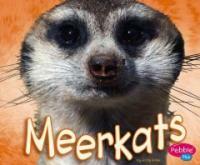 Meerkats (Library Binding)