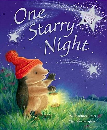 One Starry Night (Hardcover)