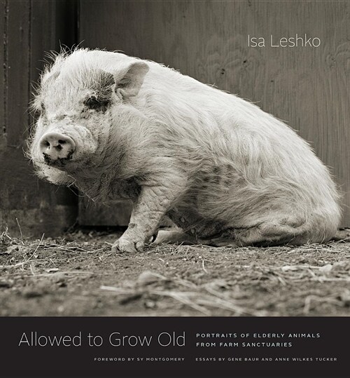 Allowed to Grow Old: Portraits of Elderly Animals from Farm Sanctuaries (Hardcover)