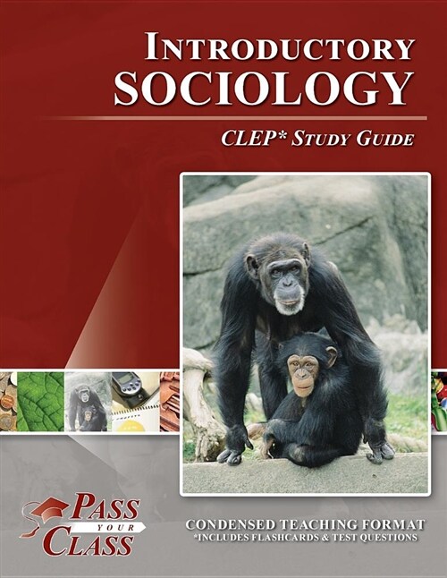 Introductory Sociology CLEP Test Study Guide (Paperback)