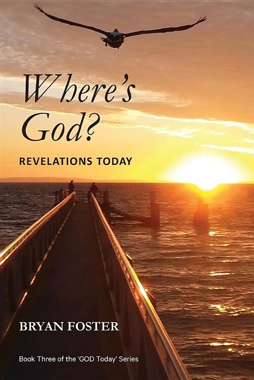 Wheres God?: Revelations Today (Paperback)