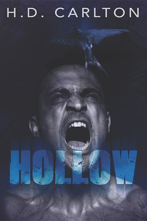 Hollow (Paperback)