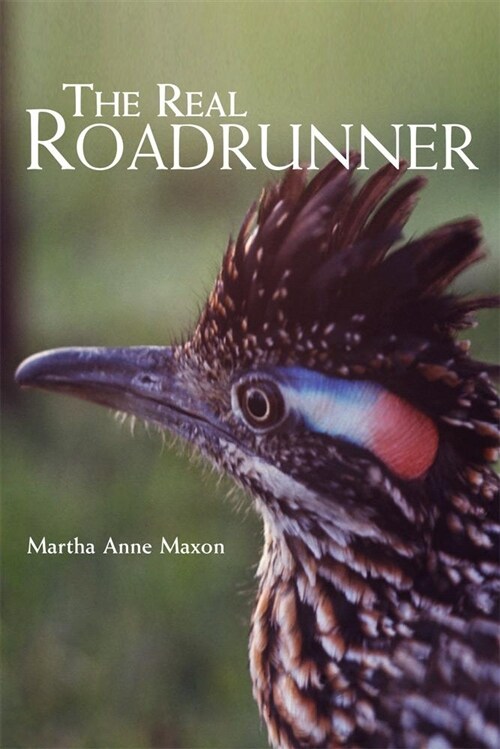 The Real Roadrunner (Paperback)