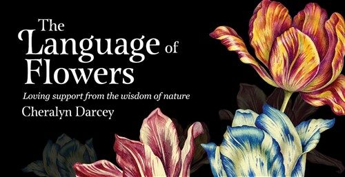 [중고] The Language of Flowers: Loving Support from the Wisdom of Nature (Other)