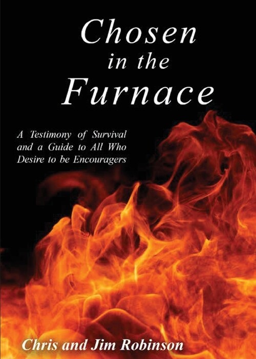 Chosen in the Furnace (Paperback)