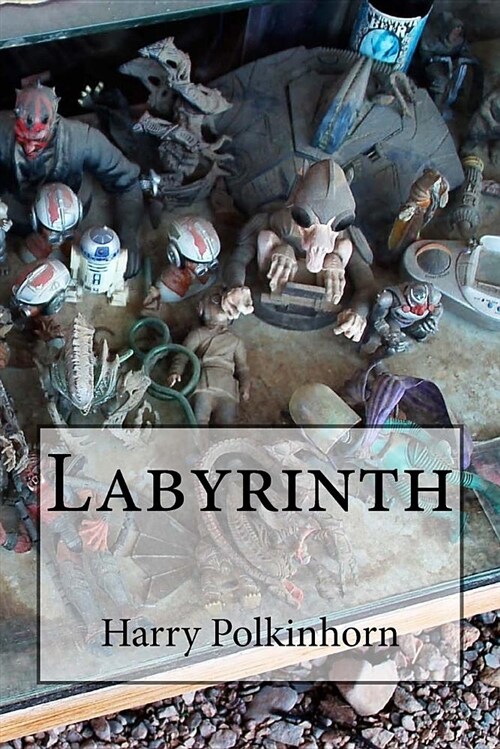 Labyrinth (Paperback)