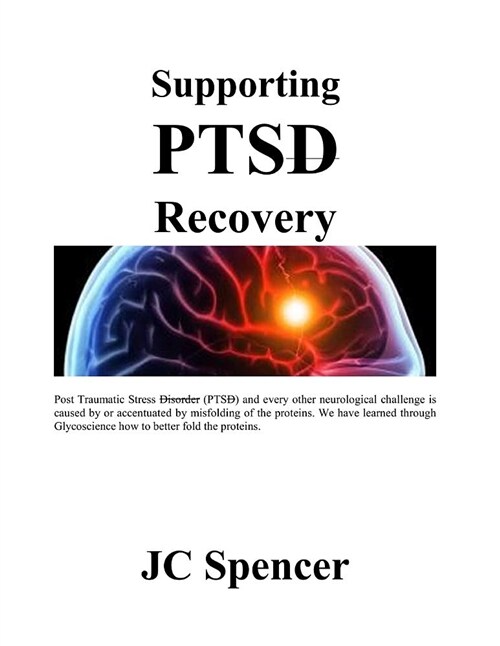 Supporting Ptsd Recovery (Paperback)