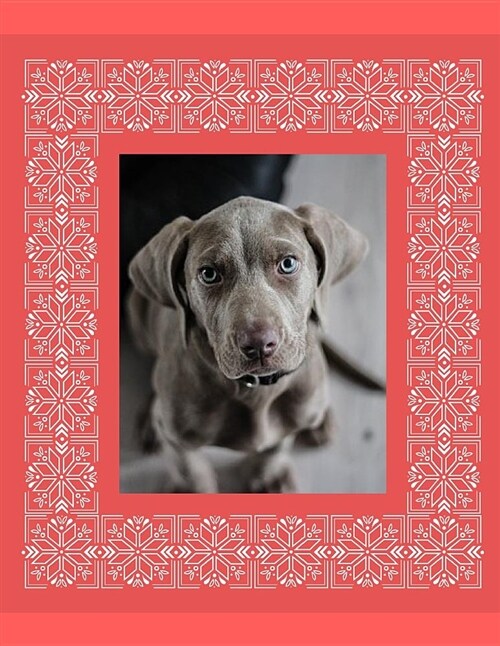 Weimaraner Dog: 8.5 X 11 (Paperback)