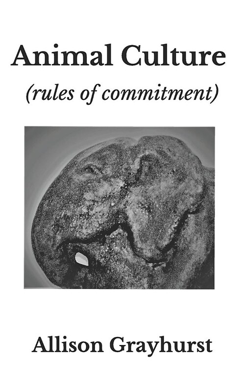 Animal Culture (Rules of Commitment): The Poetry of Allison Grayhurst (Paperback)
