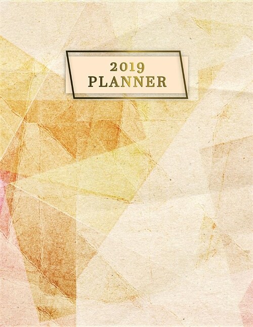 2019 Planner: Floral Planner 2019 - Weekly Views with To-Do Lists, Funny Holidays & Inspirational Quotes - 2019 Organizer with Visio (Paperback)