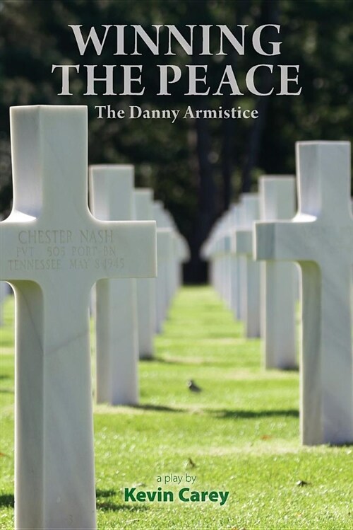 Winning the Peace: The Danny Armistice (Paperback)