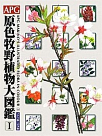 APG原色牧野植物大圖鑑〈1〉ソテツ科-バラ科 (大型本)