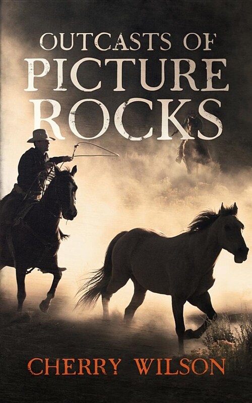 Outcasts of Picture Rocks (Paperback, Unabridged)