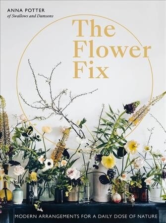 Flower Fix : Modern arrangements for a daily dose of nature (Hardcover)