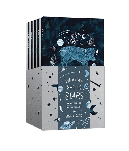 What We See in the Stars: A 12-Notebook Set (Other)