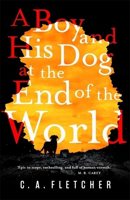 A Boy and his Dog at the End of the World (Paperback)